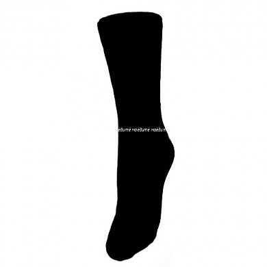 �������� ����� ������� ������ ����� ����������� ������ �-12 � ��������